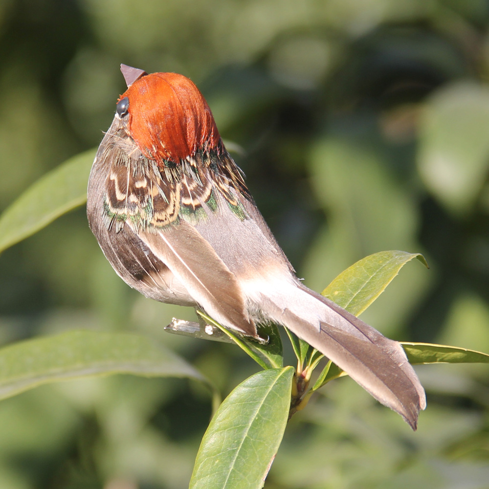 2Pcs Hot Feather Bird Imitatio - Christmas Tree Artificial ulasan dan harga